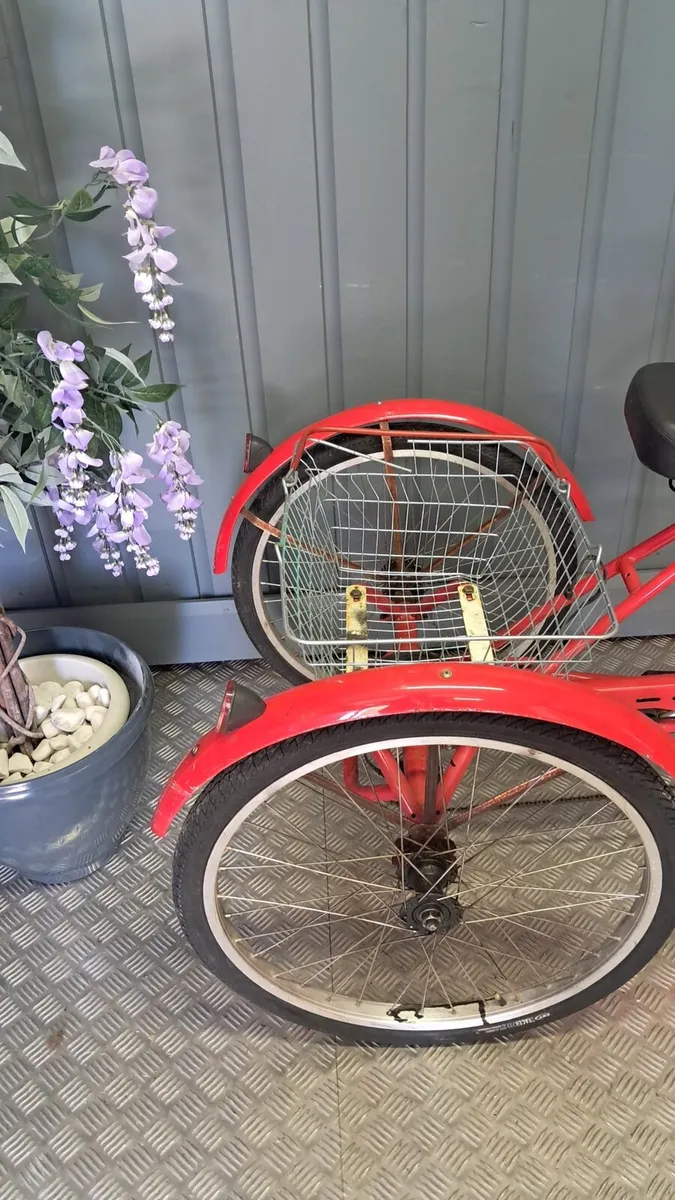 Tricycle - Image 4