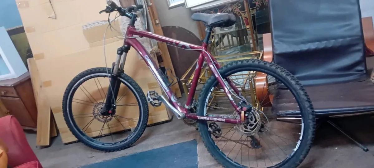 Gary Fisher Lightweight Bicycle - Image 1