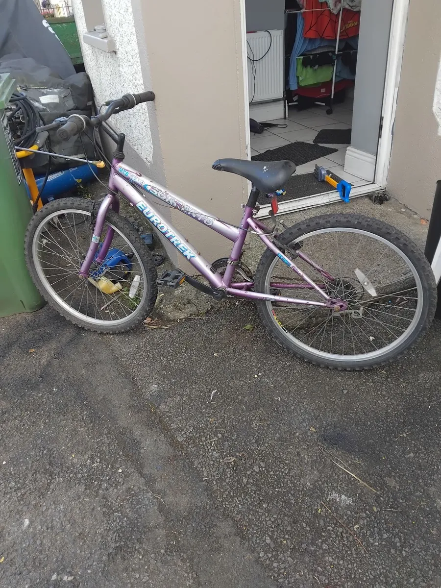 All bikes for sale all working 24inch too 26inch - Image 1