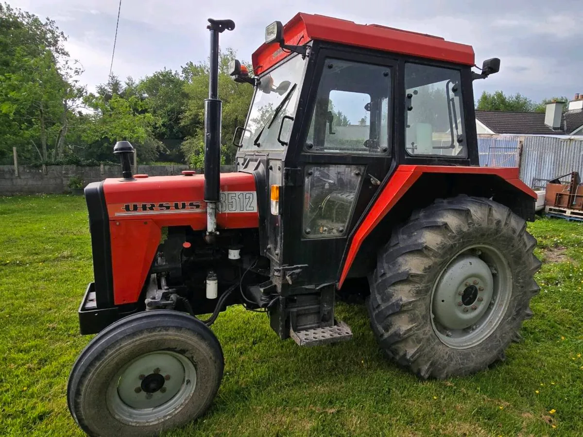 94 Ursus - Image 2