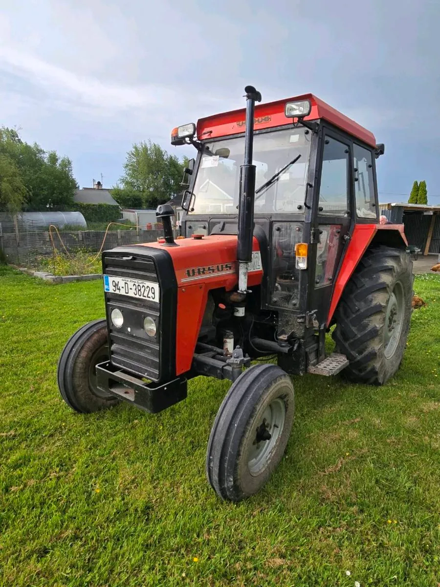 94 Ursus - Image 3