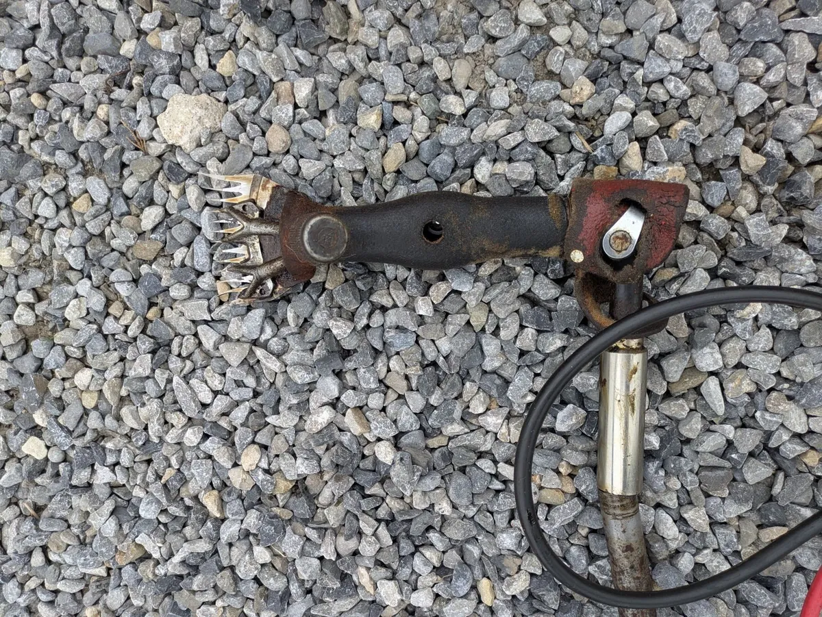Sheep Shears Longhorn 3.2 - Image 3