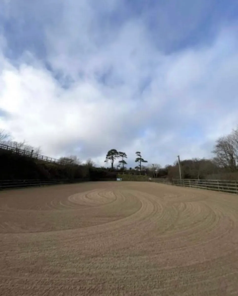Livery Spaces available - Image 2