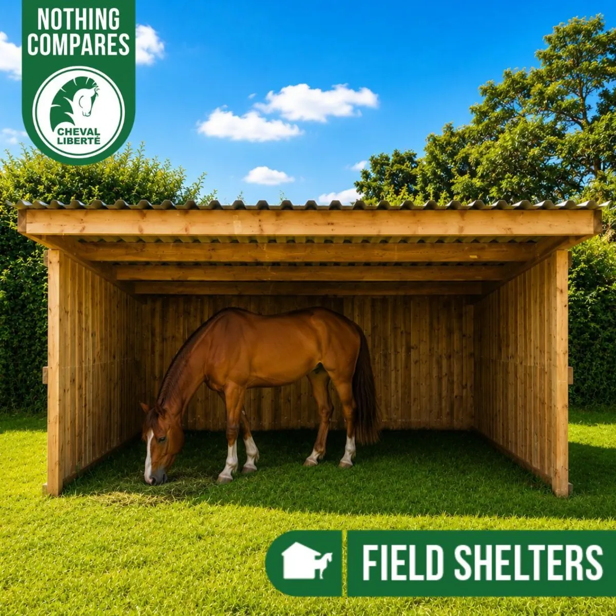 Summer Deal – 3x3 Horse Field Shelter €1, 500 - Image 3
