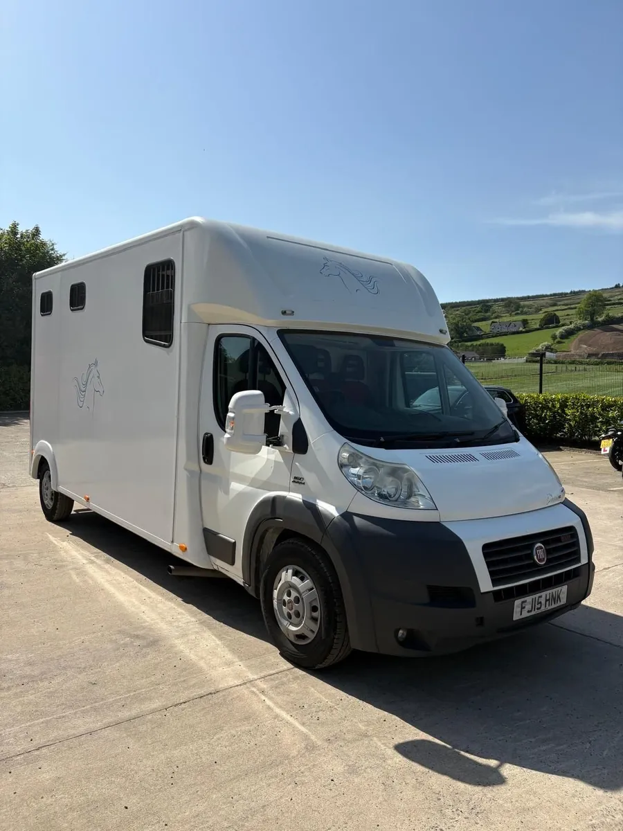 Reliable Horse Box for Sale – Excellent Condition - Image 3
