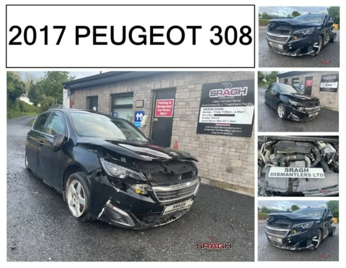 Peugeot 308 Collection - Image 1