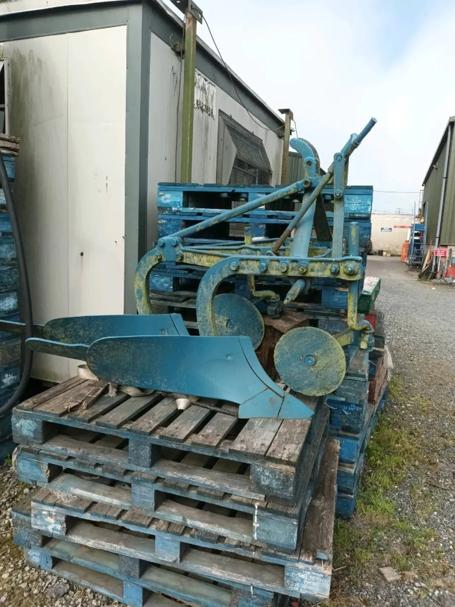 Yard clear out - Image 3
