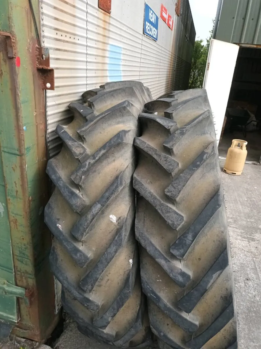 Yard clear out - Image 4