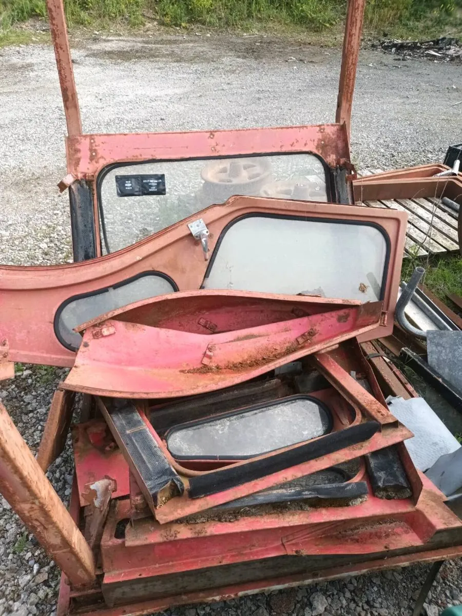 Yard clear out - Image 1