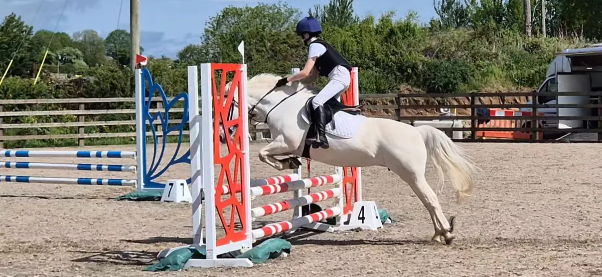 12.2 All rounder Pony (128cm) - Image 4