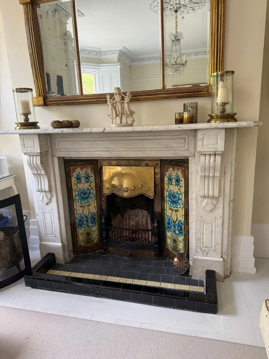 fire place insert(not the marble surround) - Image 1
