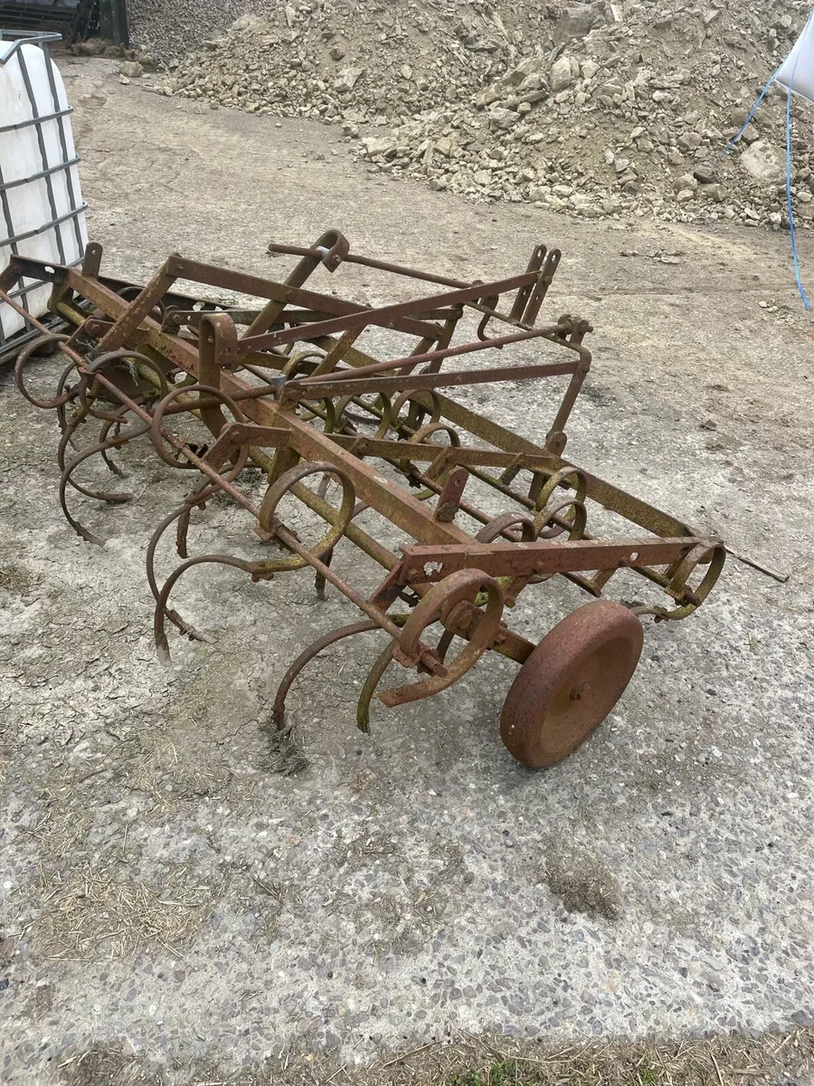 Buck rake and harrow - Image 1