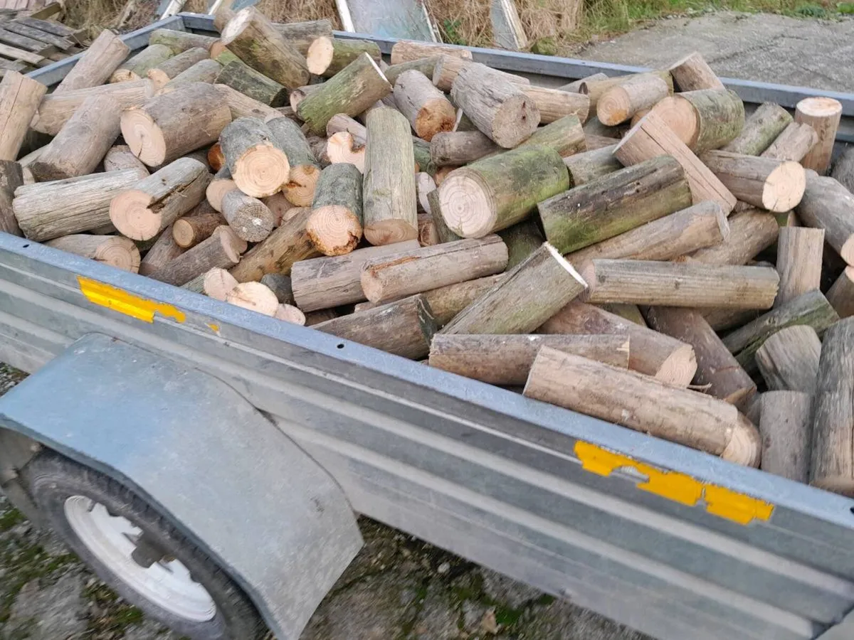 Timber - Image 1