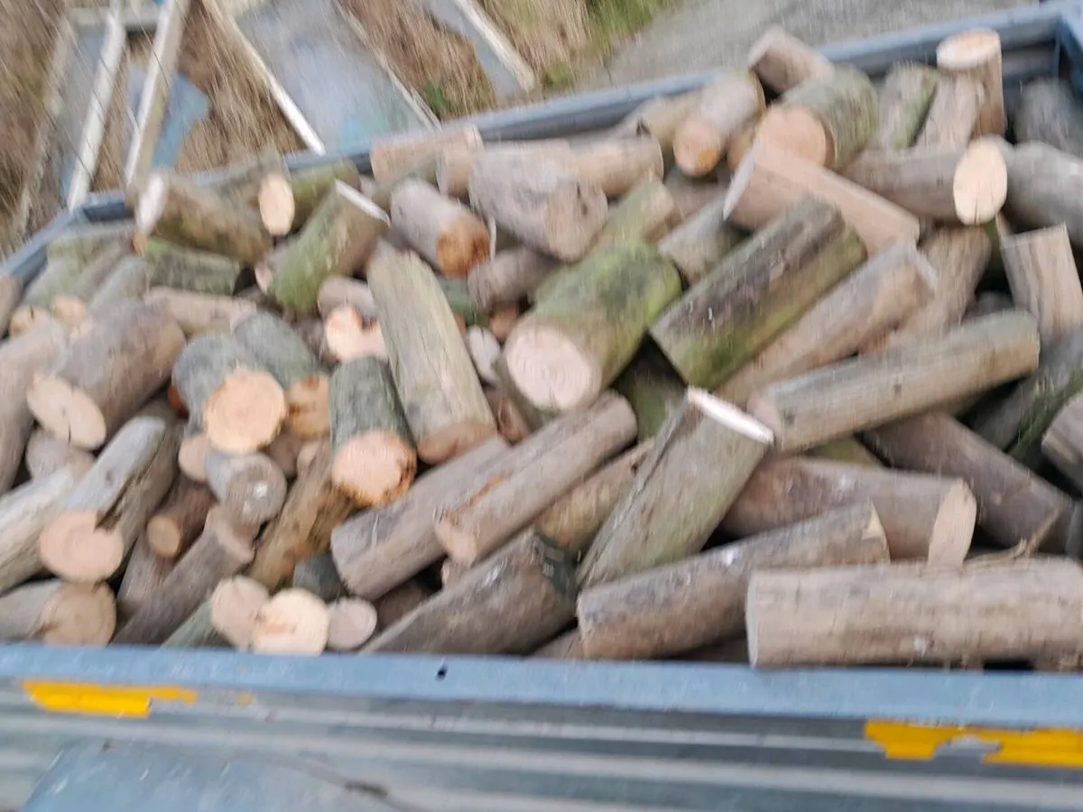 Timber - Image 2
