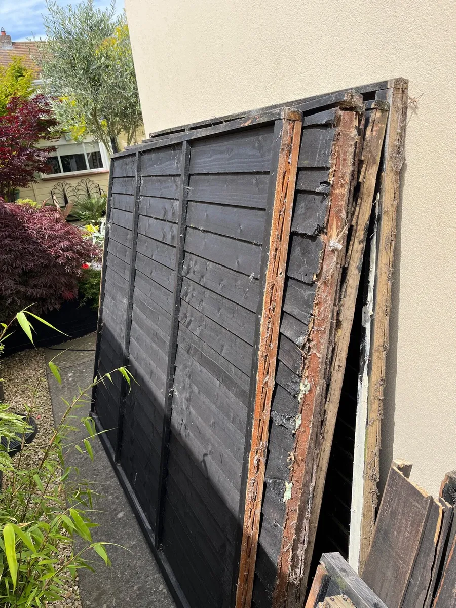 Free wooden fence panels - Image 1