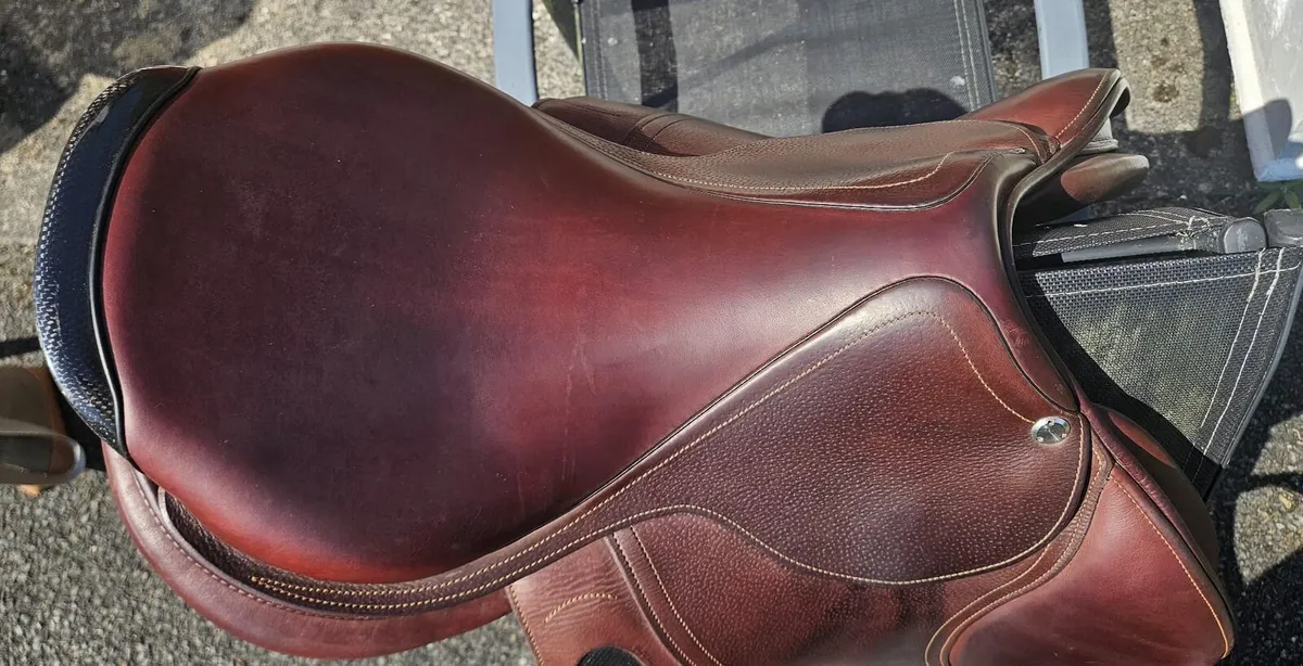 CWD Saddle - Image 2