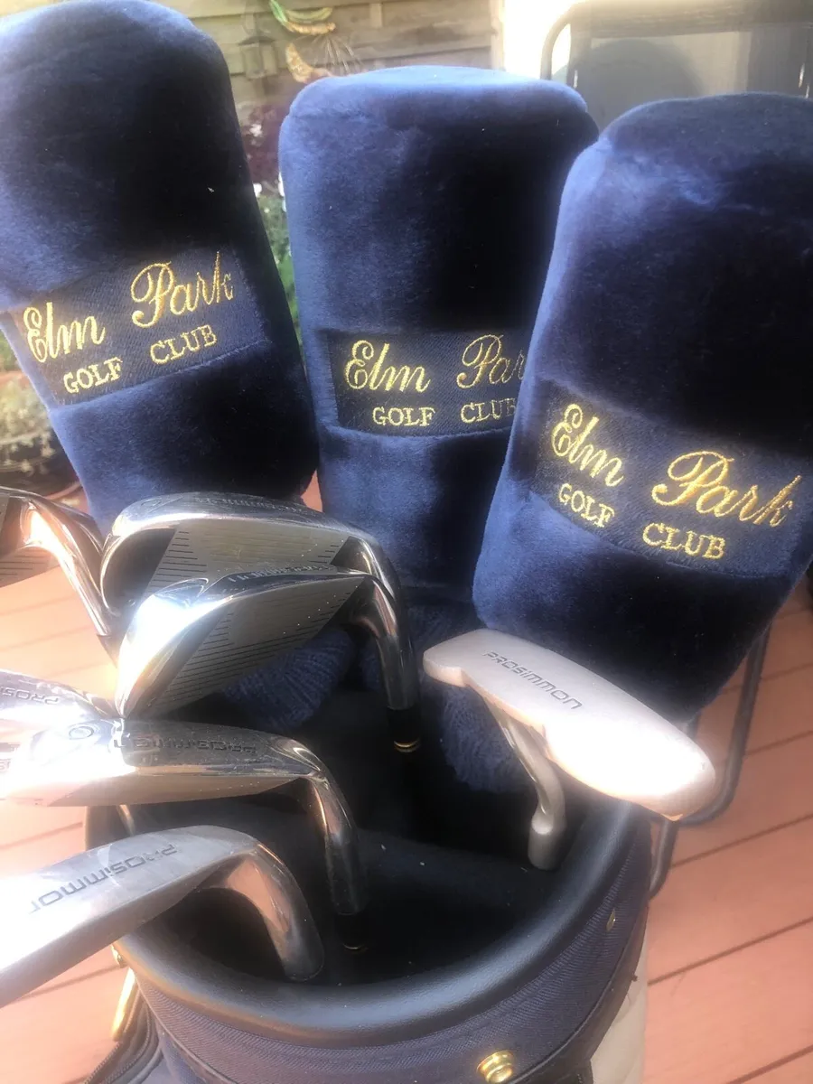 Ladies golf clubs - Image 1