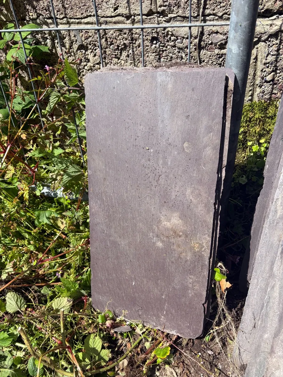 Bangor Blue Roof Slates and others - Image 1