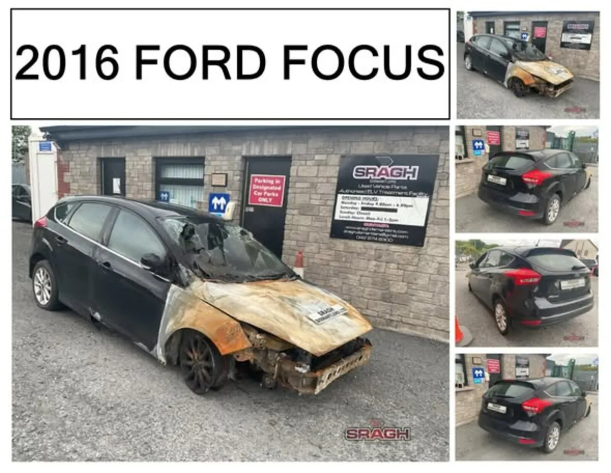 FORD FOCUS Collection - Image 1