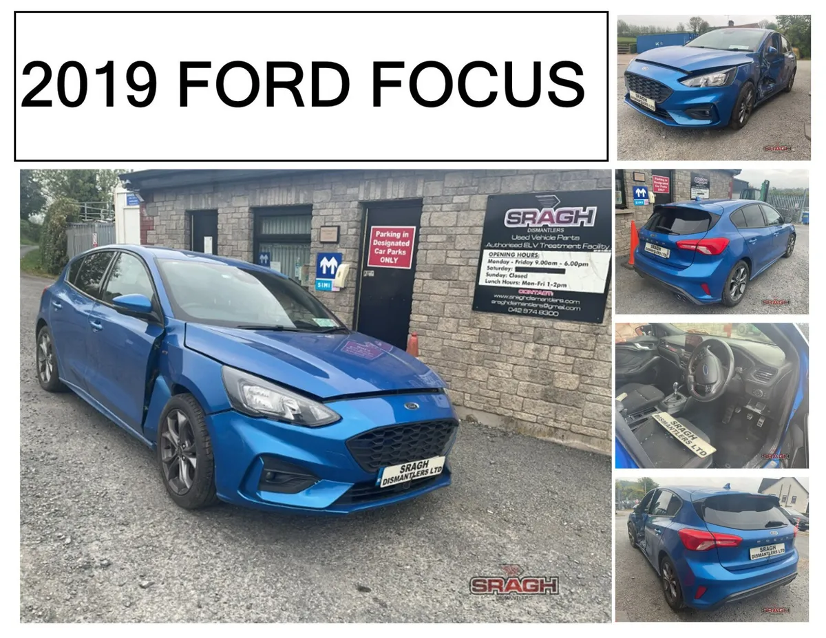 FORD FOCUS Collection - Image 2