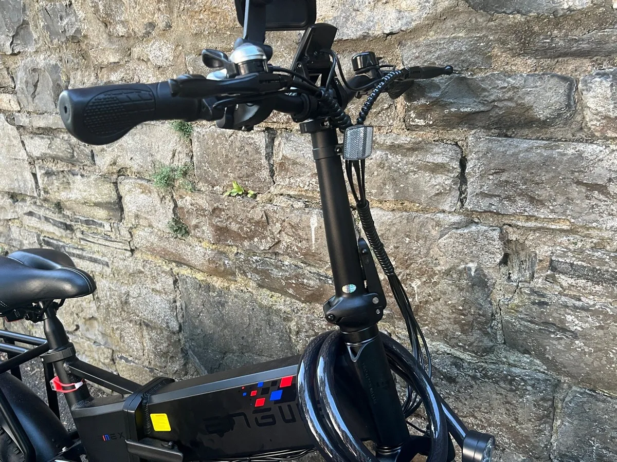Electric bike - Image 3