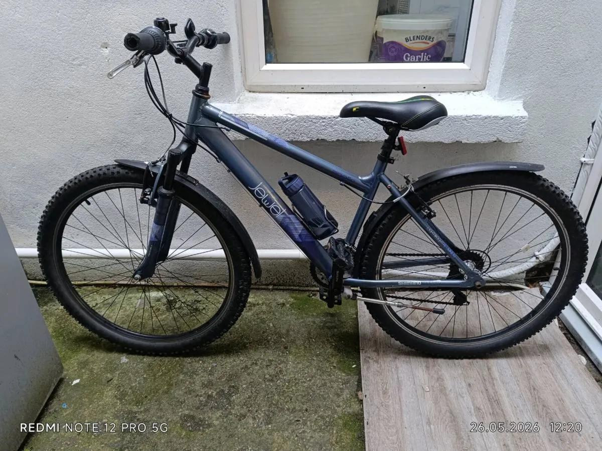 the bike of your dreams - Image 1