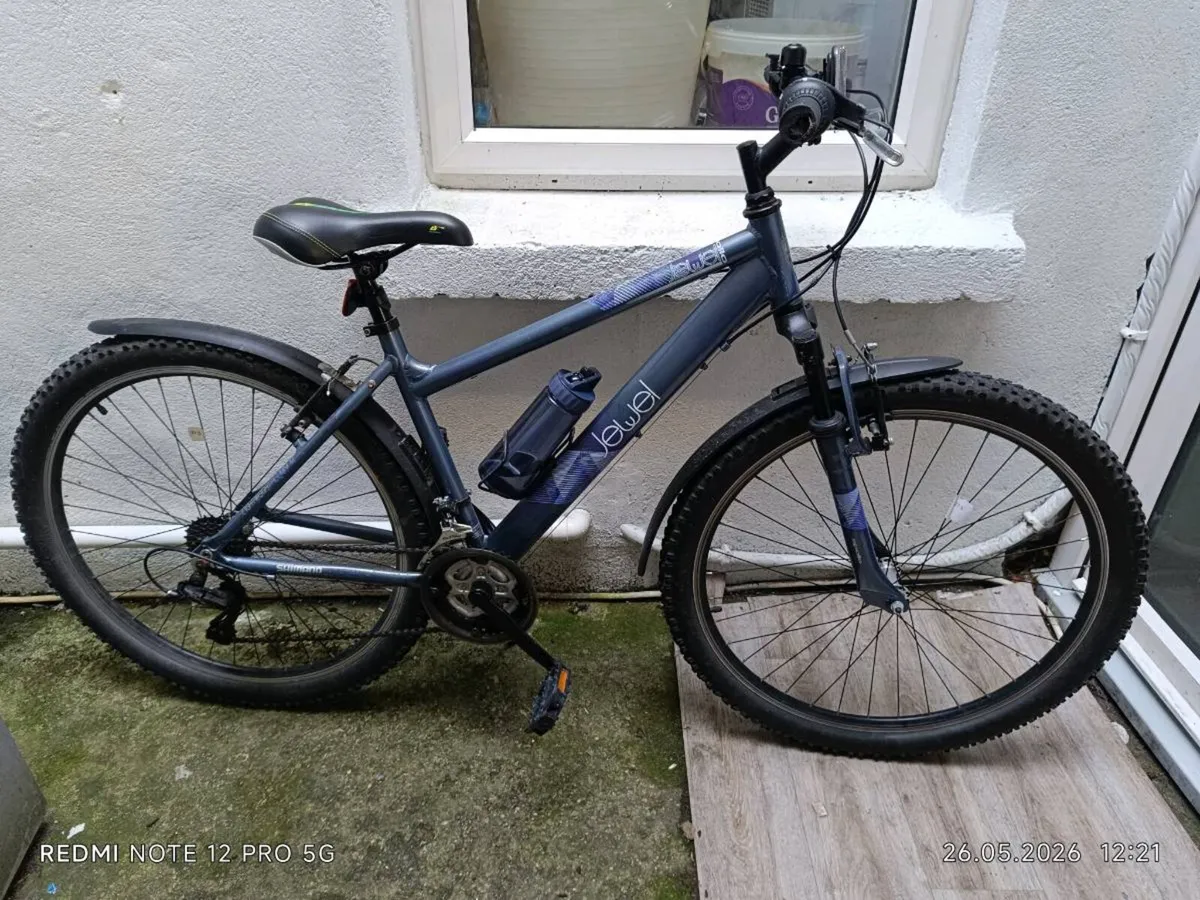 the bike of your dreams - Image 2