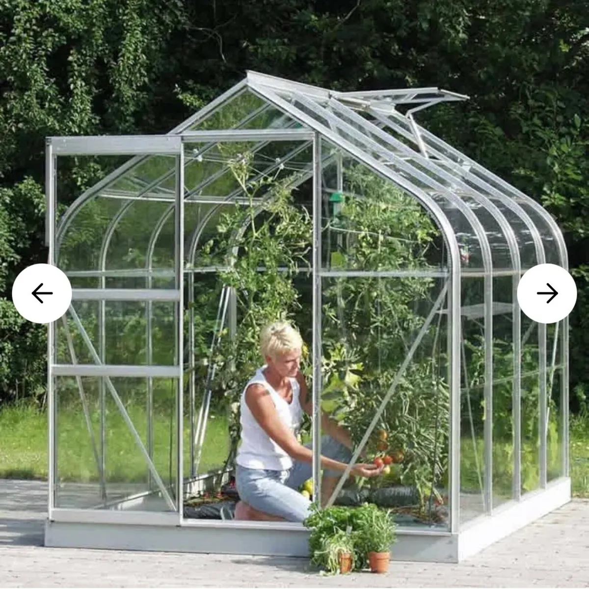 Vitavia Orion Greenhouse 6ftx6ft Silver Finish