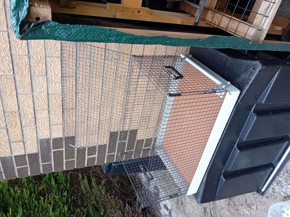 Pet Cage - Image 3