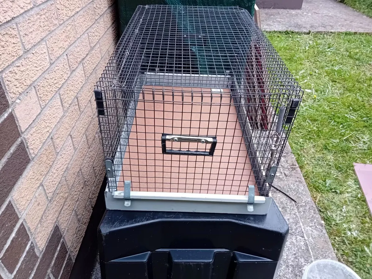 Pet Cage - Image 4