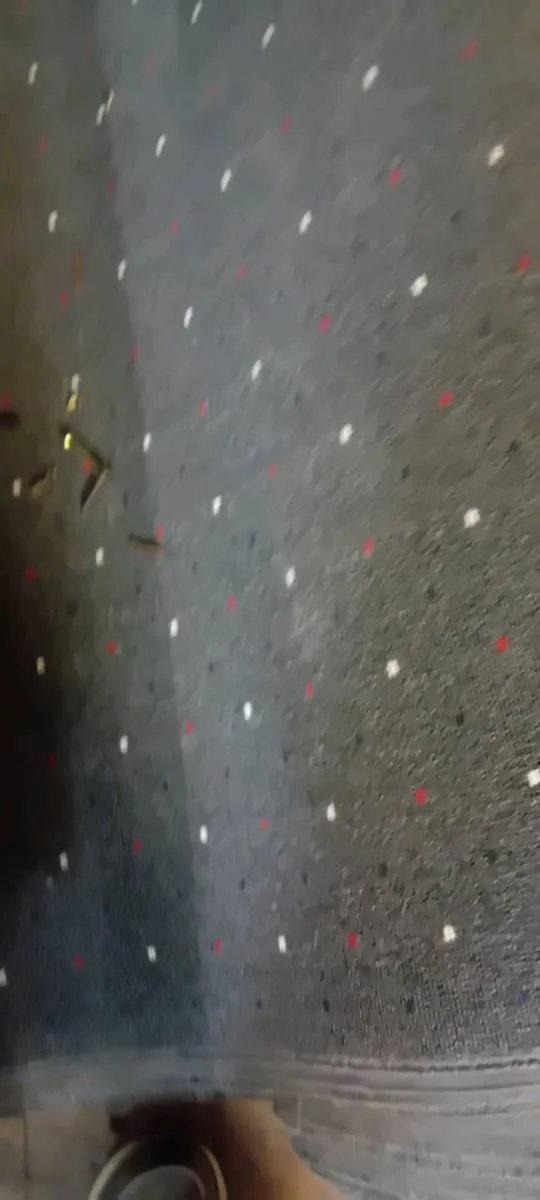 Almost Full Roll Of Commercial Carpet - Image 2