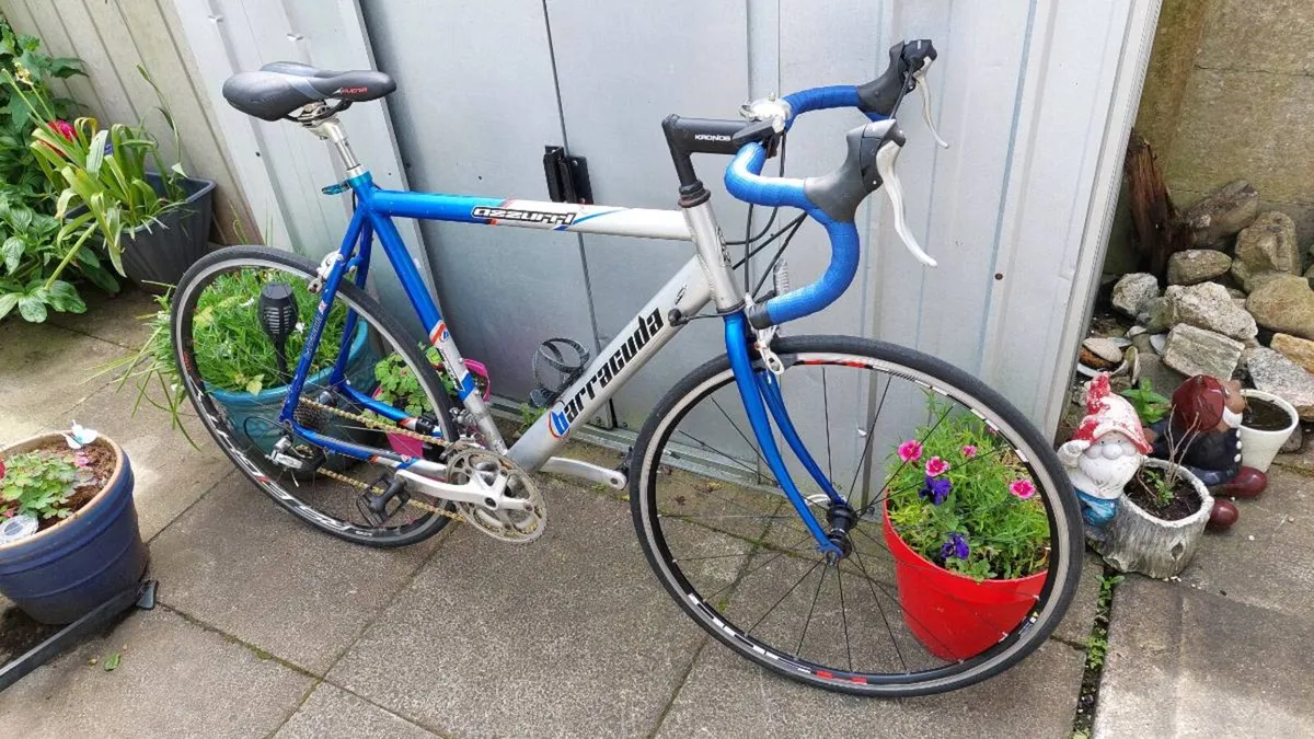 Barracuda Azzuri Road Bike Large Frame - Image 1