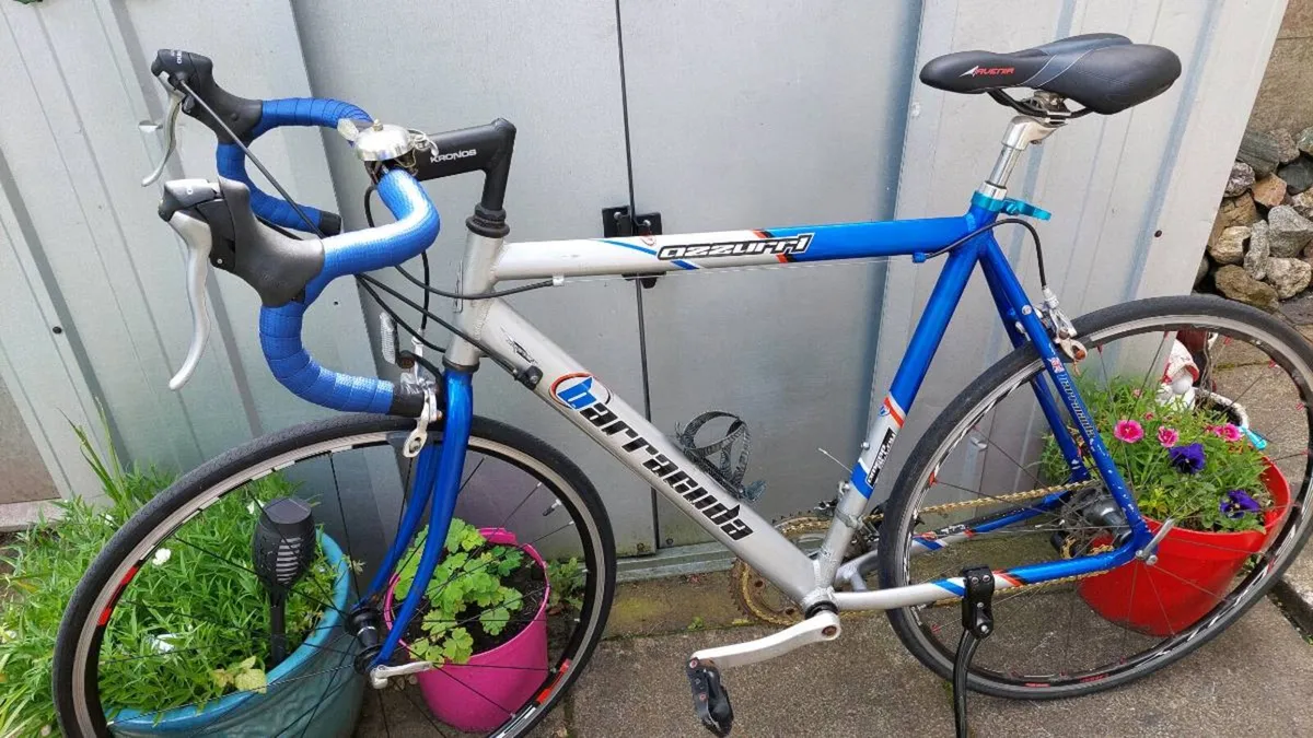 Barracuda Azzuri Road Bike Large Frame - Image 2