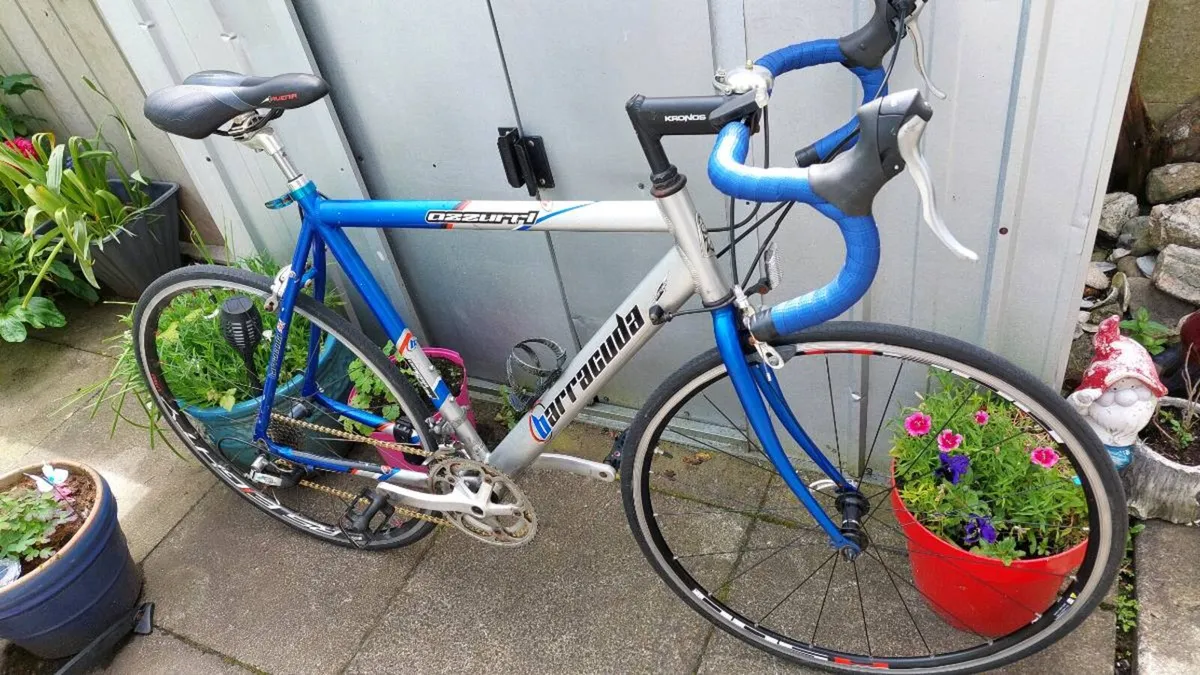 Barracuda Azzuri Road Bike Large Frame - Image 3