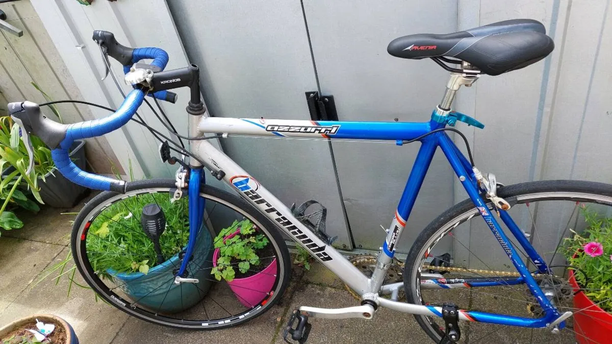 Barracuda Azzuri Road Bike Large Frame - Image 4