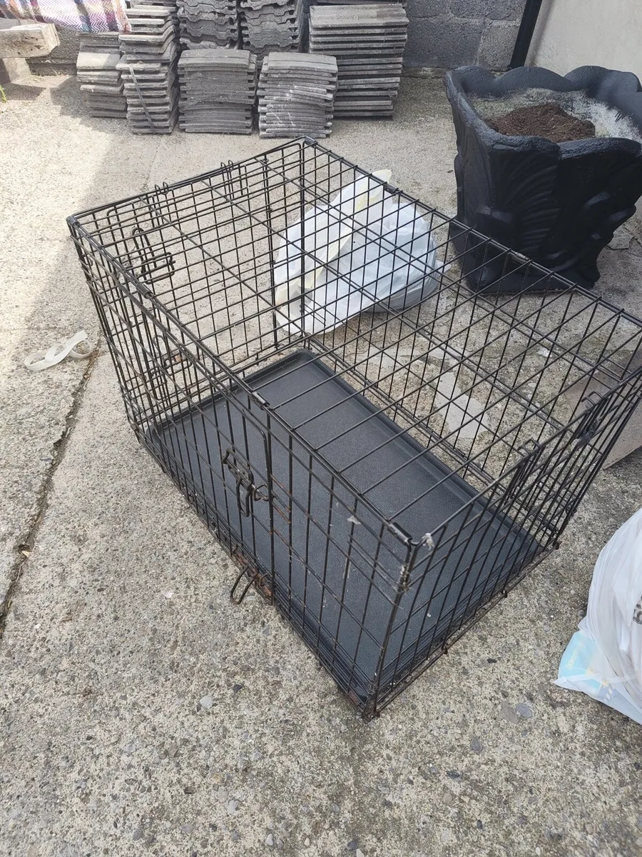 Dog cage & Free Storage box - Image 1