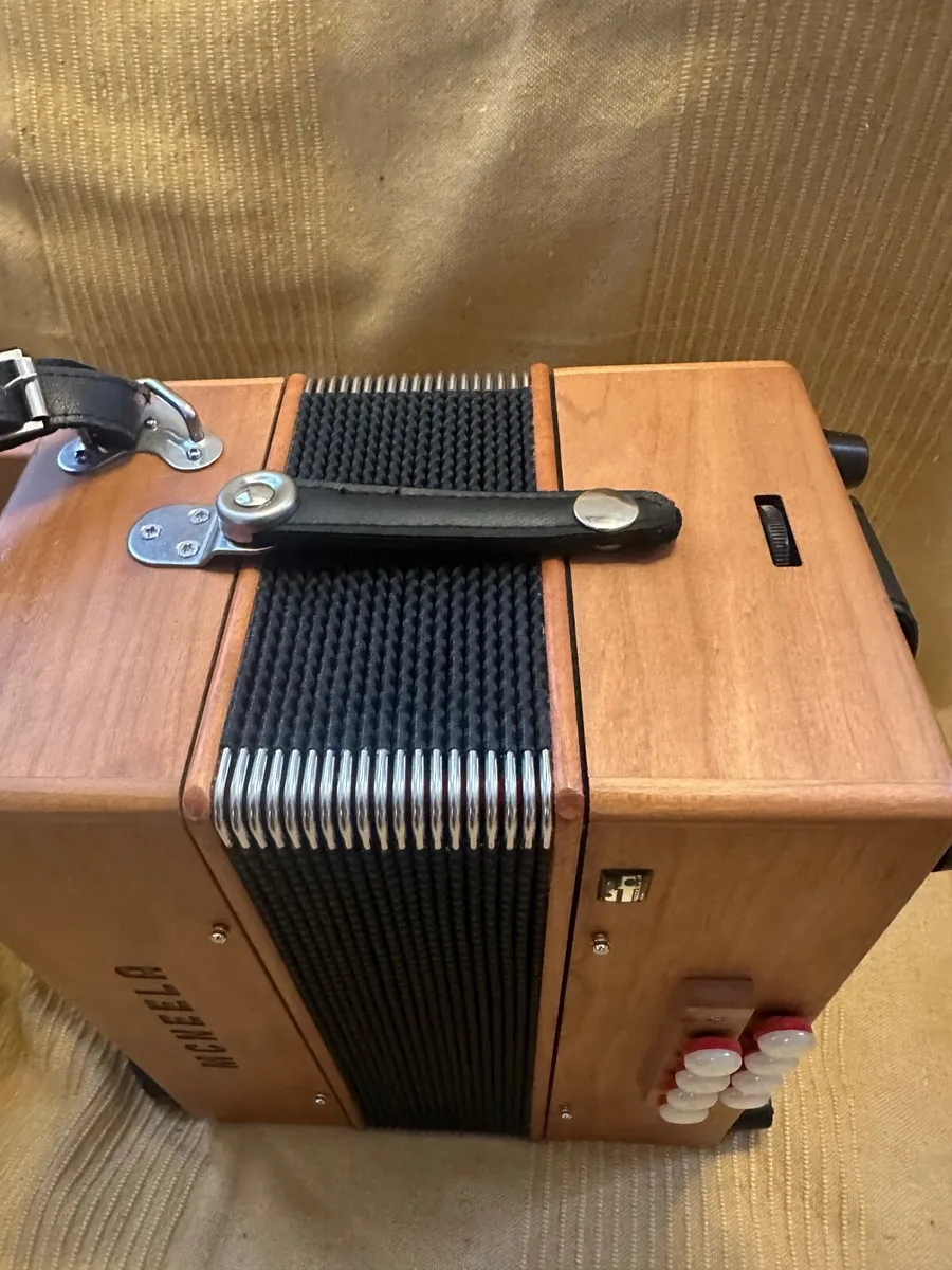 Accordion Mcneela - Image 4