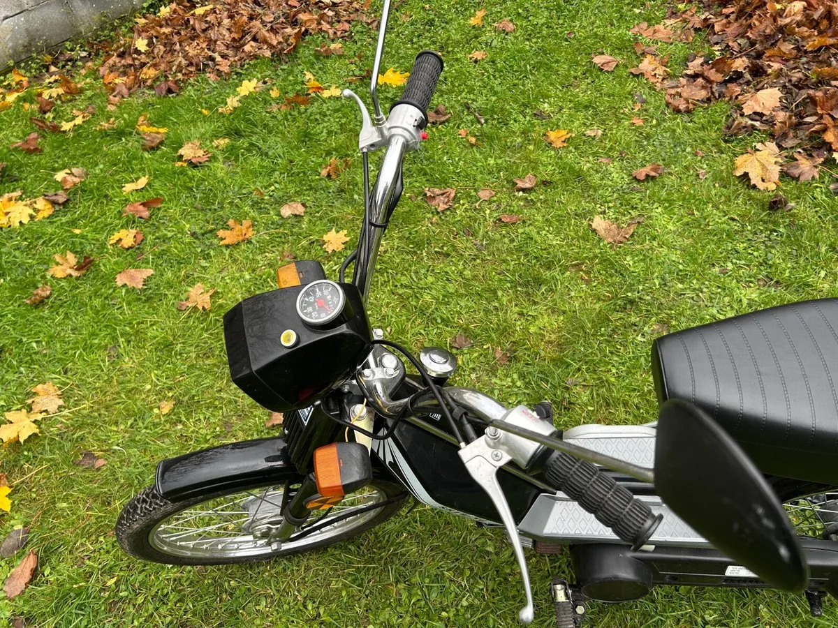Skywing 2003 - Image 3
