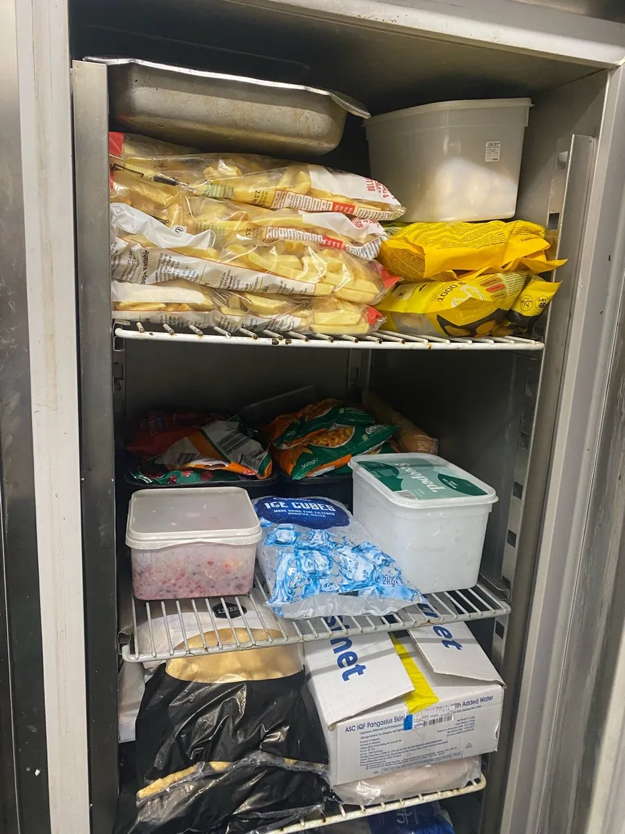 Commercial Upright Freezer Stainless steel - Image 2