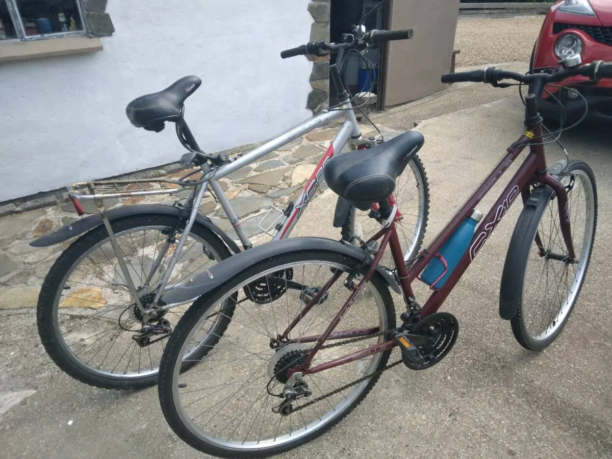2 Bikes - Image 1