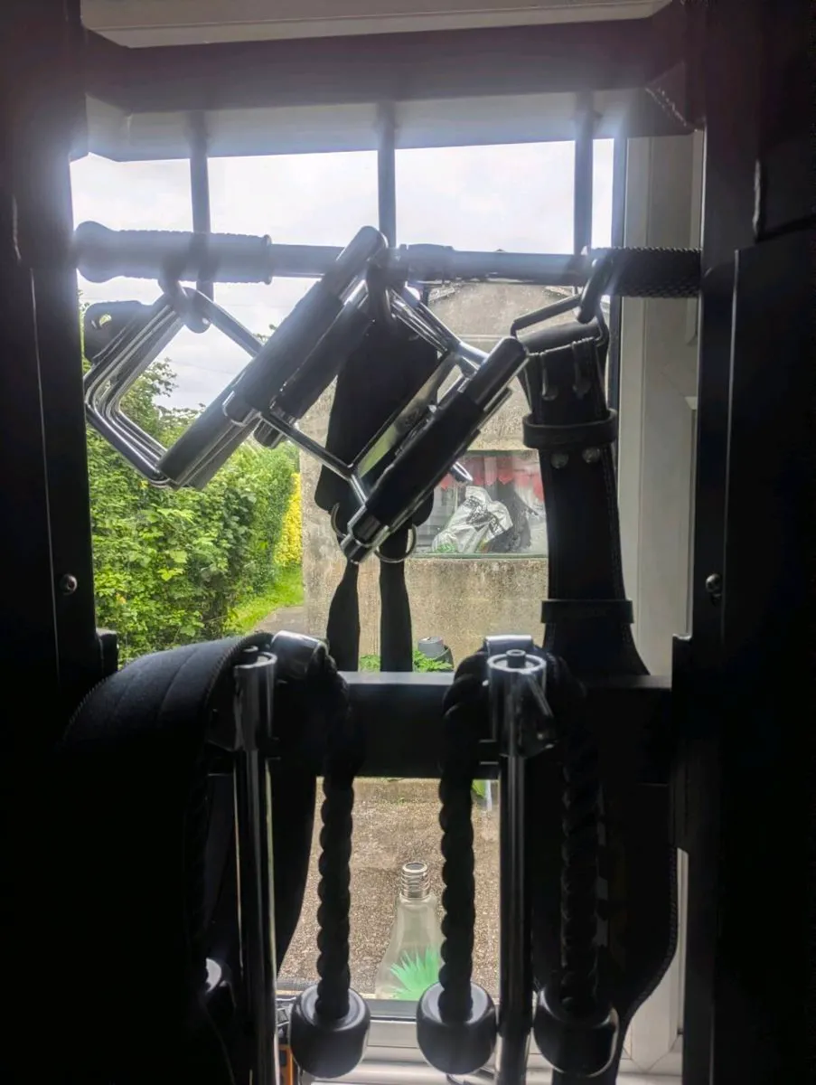 Bolt strength home gym - Image 4