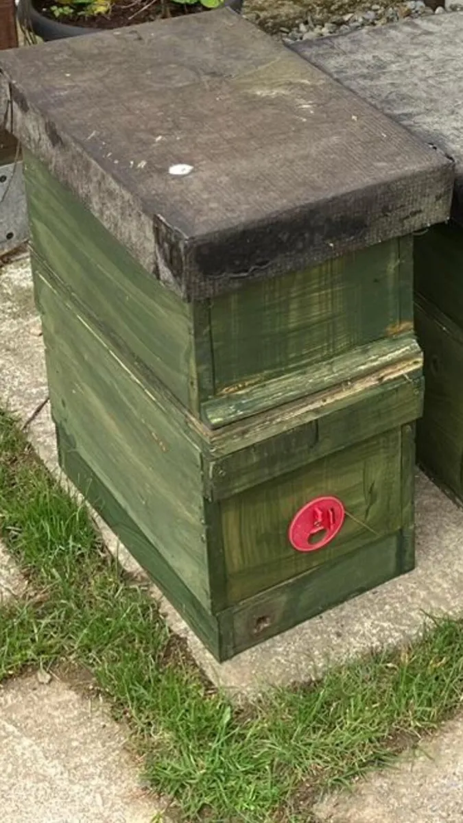 Bees and Nuc - Image 2