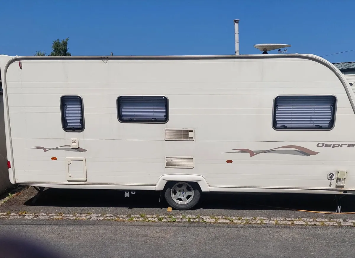 Avondale Osprey - Image 2