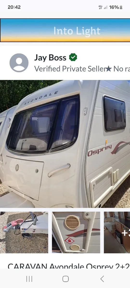 Avondale Osprey - Image 1