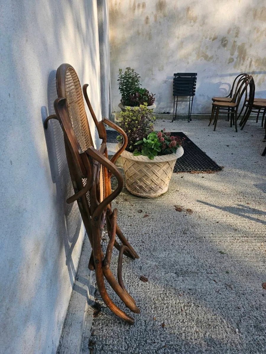 Thonet chairs - Image 3