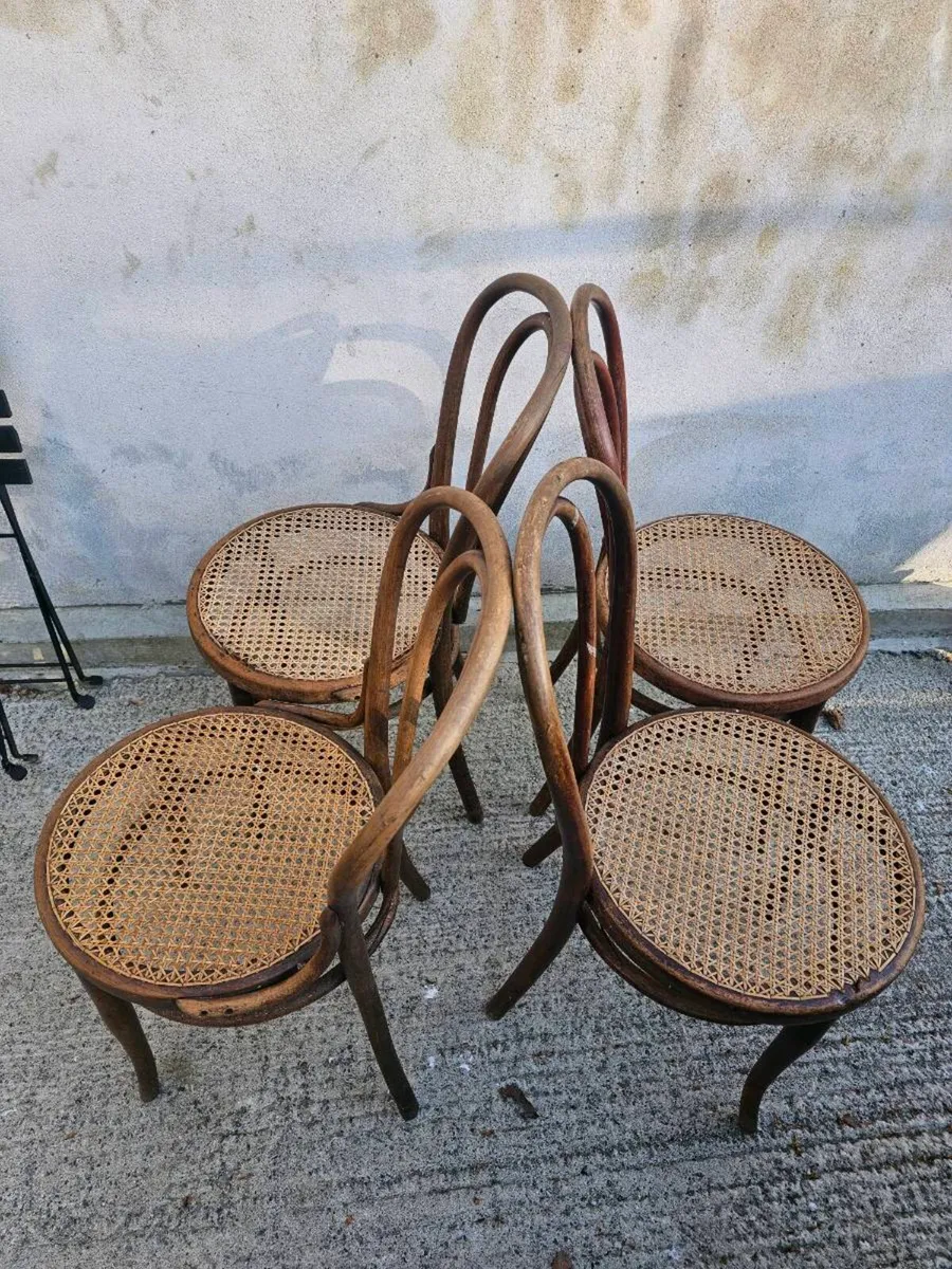 Thonet chairs - Image 4