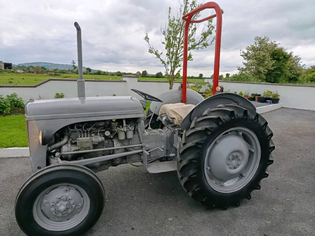 Massey Ferguson - Image 2