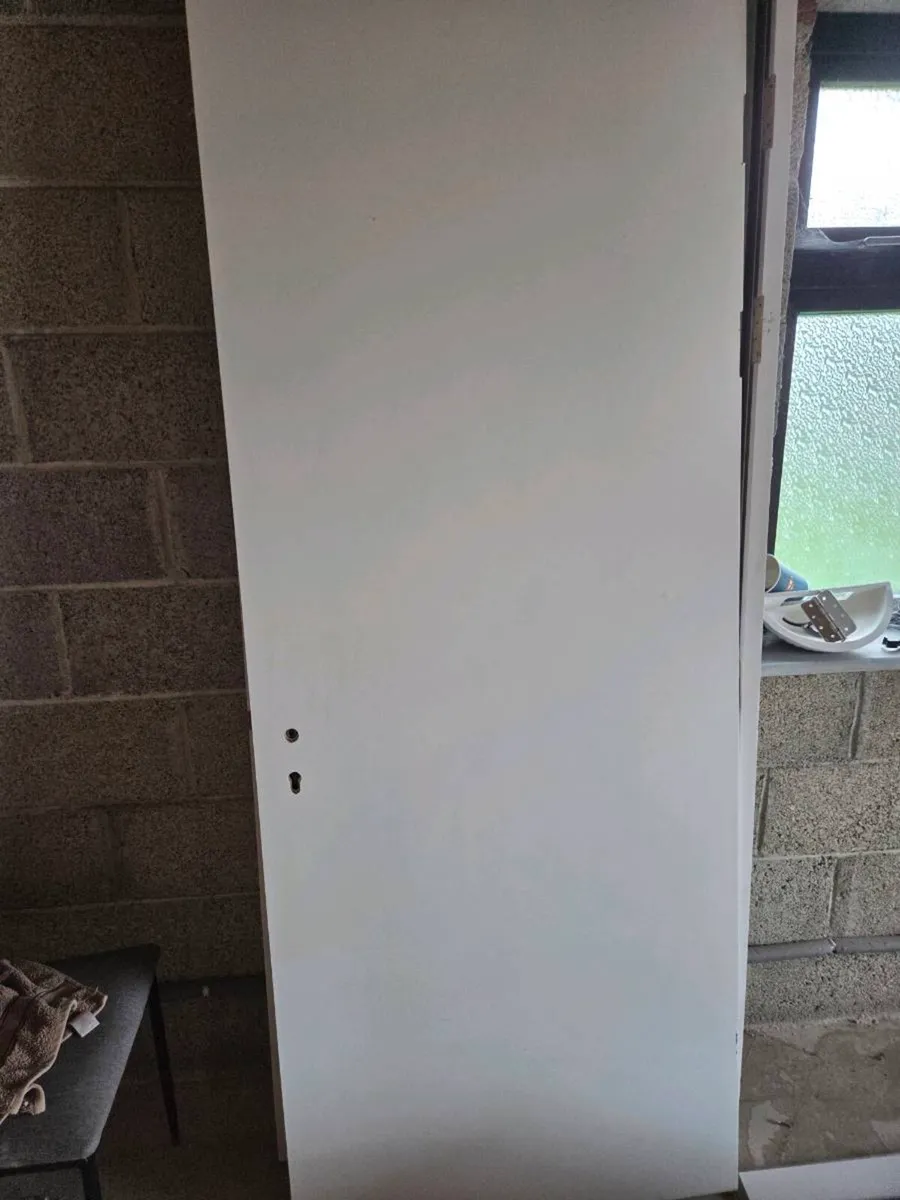 Fire door - Image 1