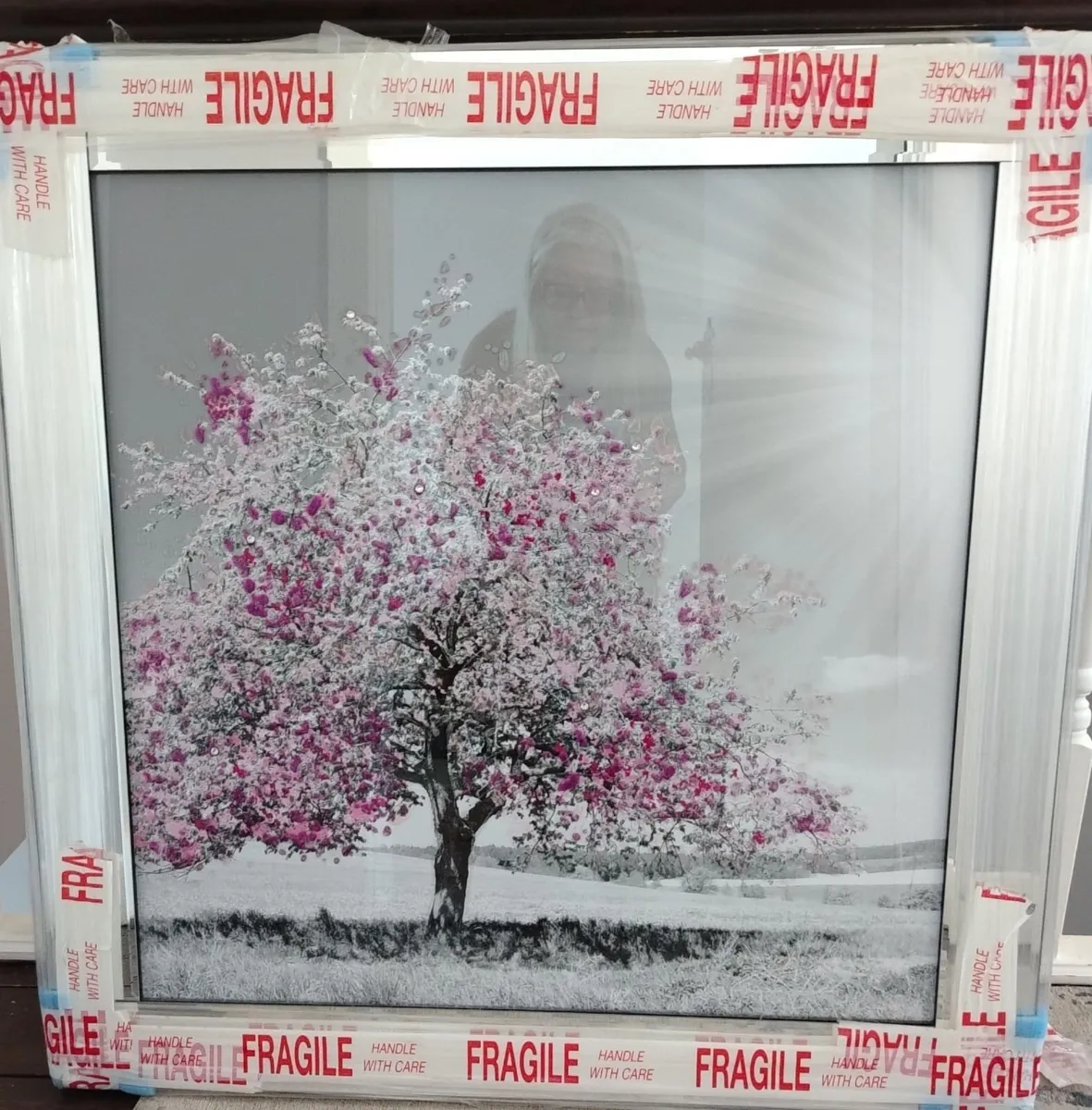 Framed Wall Pictures - Image 1