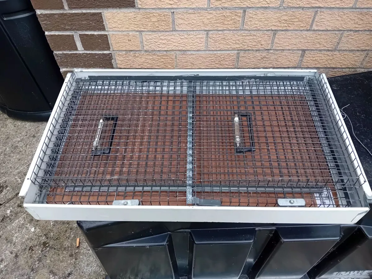 Cage - Image 3